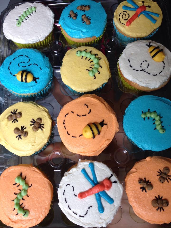 bugs cupcakes.jpg